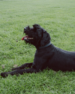 Herbst | Winter 2022