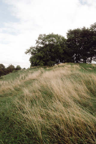 Herbst | Winter 2022